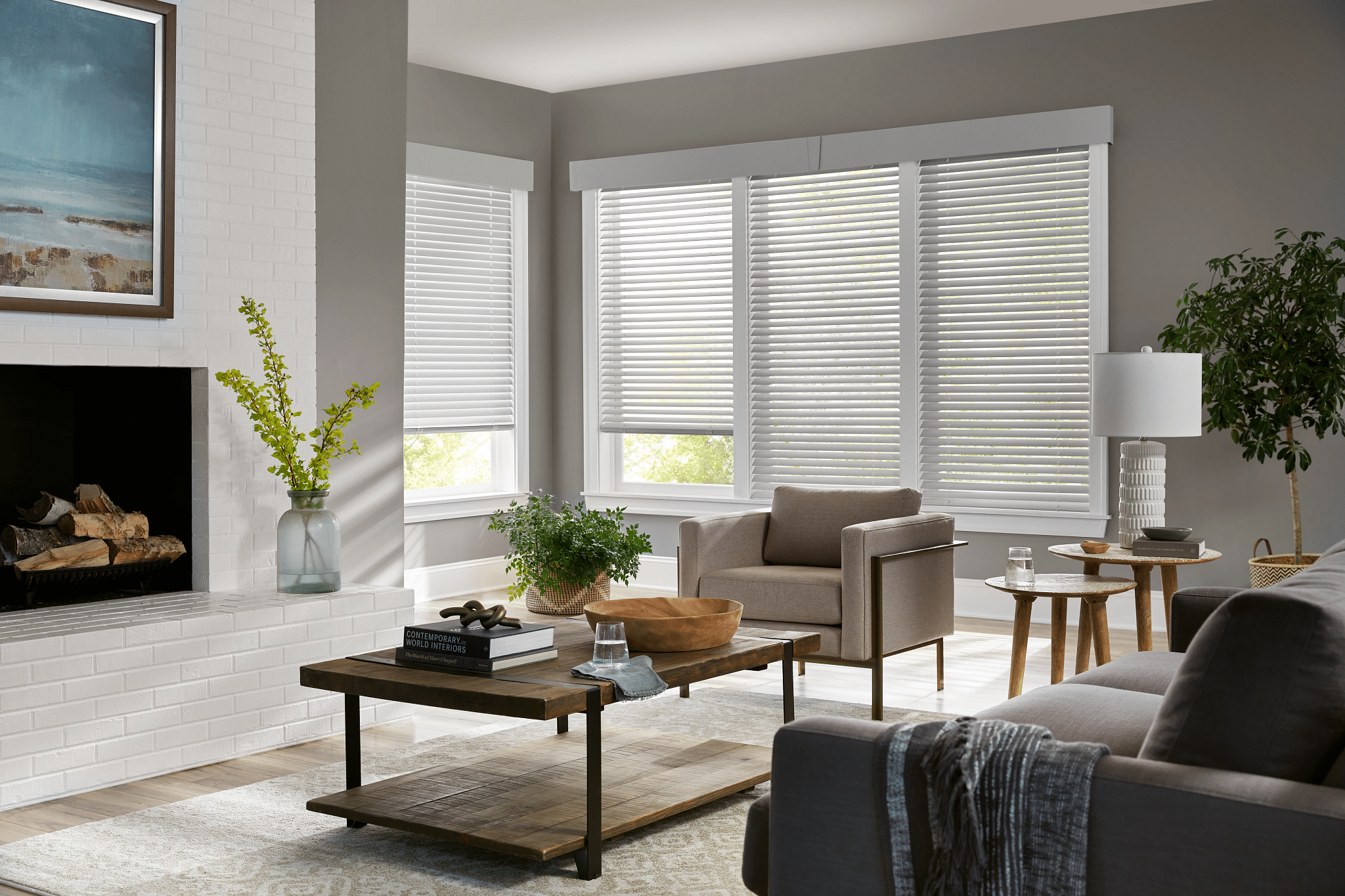 Wood Blinds Living Room